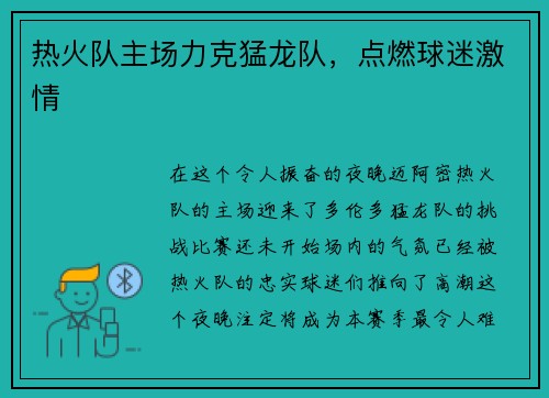 热火队主场力克猛龙队，点燃球迷激情