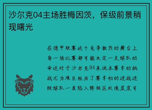 沙尔克04主场胜梅因茨，保级前景稍现曙光